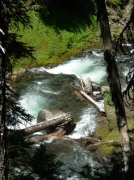 Summer '06 Sunriver 278 